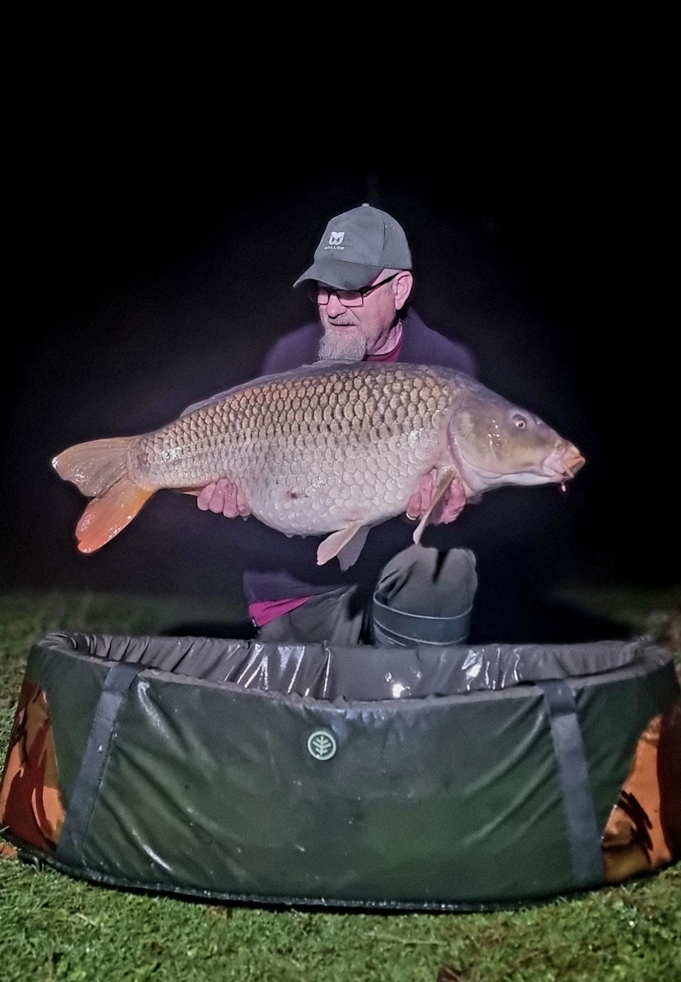 wp-17292504101553437857935187655655