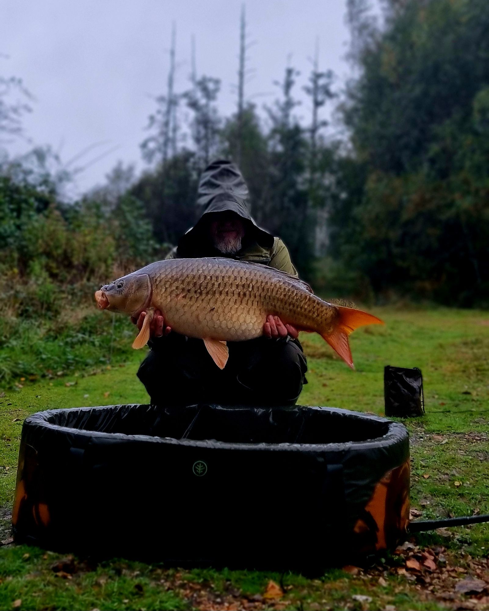 wp-17292504102754326278557767671233