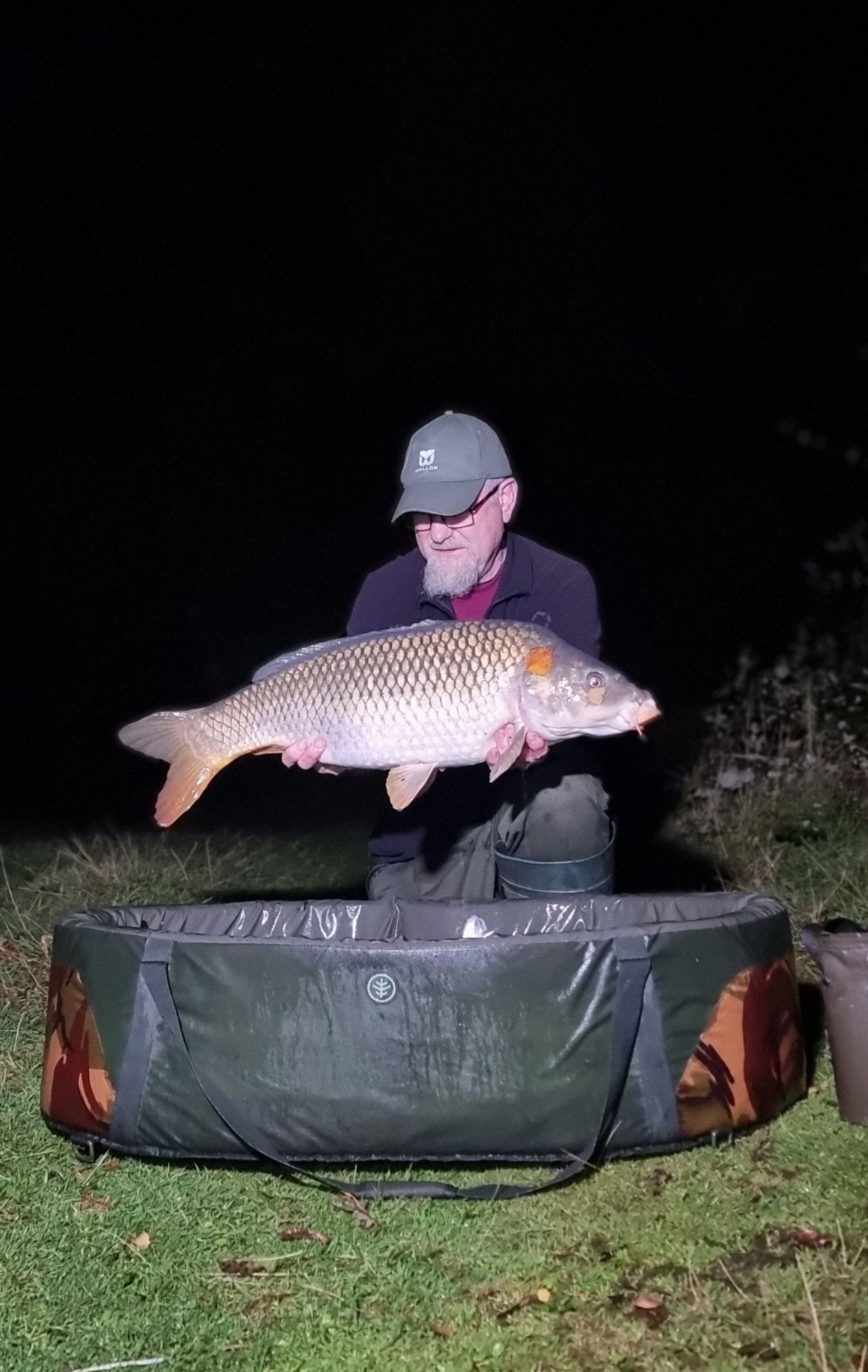 wp-17292504106975315125245078492751