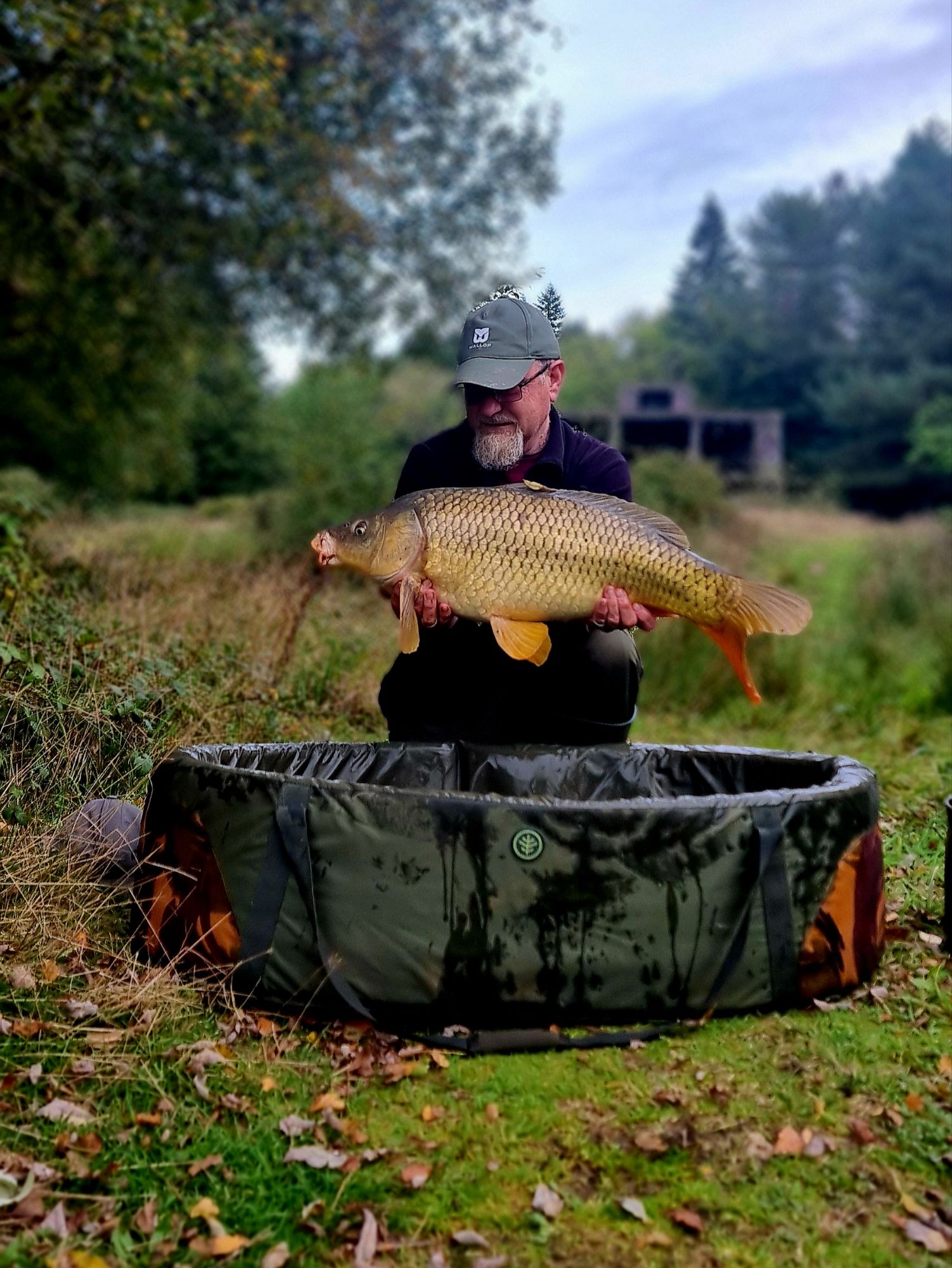 wp-17292504107917408029114310192718