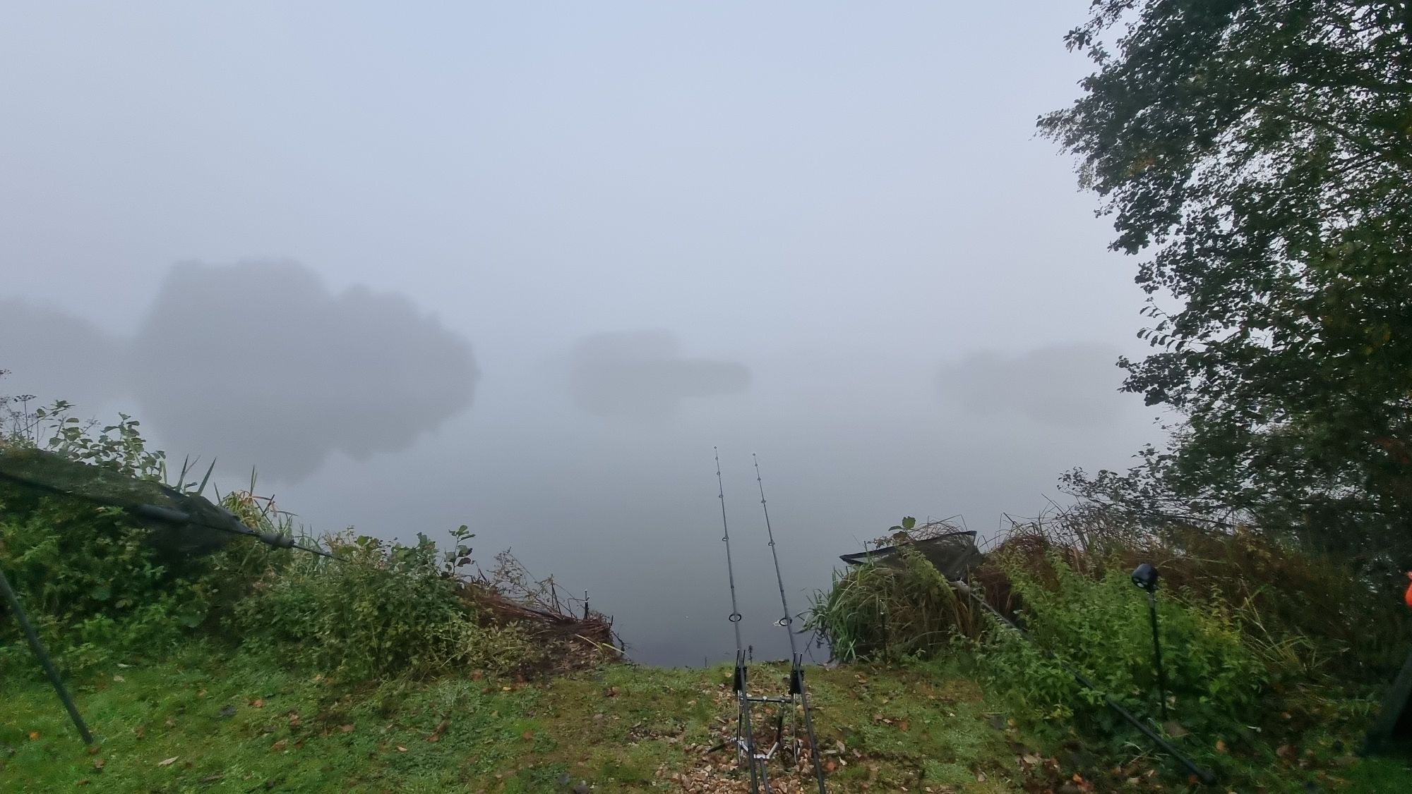 wp-17292504521647850765026636080617