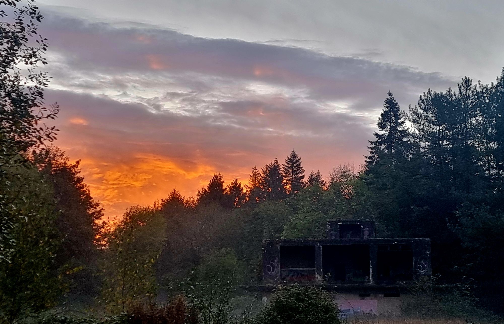 wp-17292504527808743595457039815339