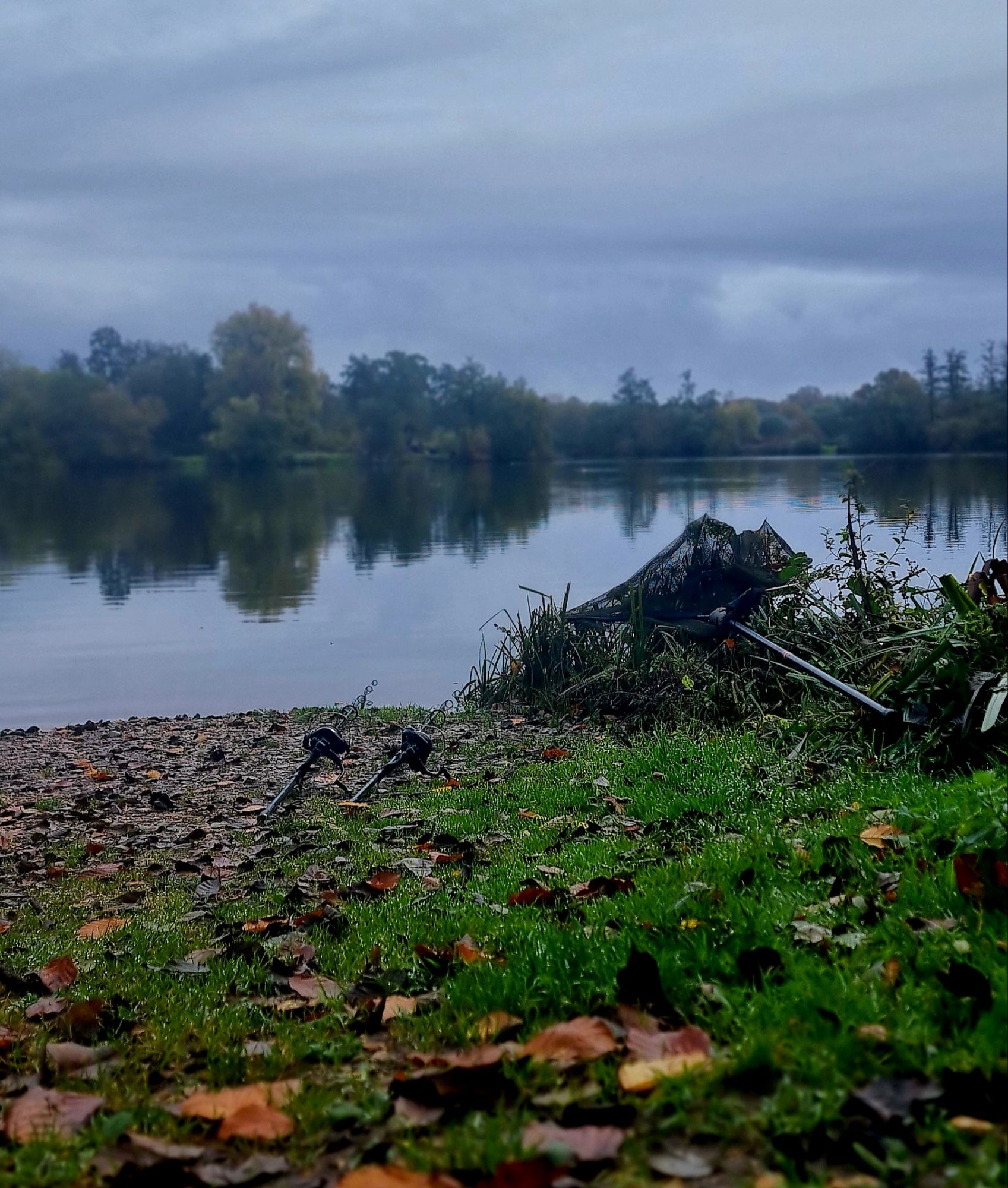 wp-17299435968828249963497805543527