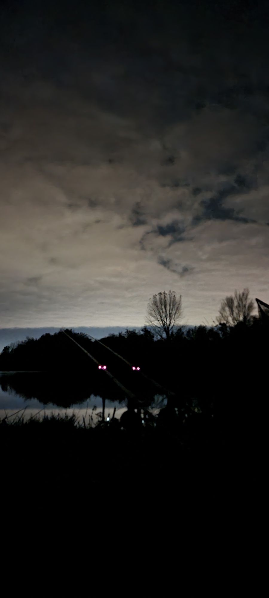 wp-1730380632402390384957162732573