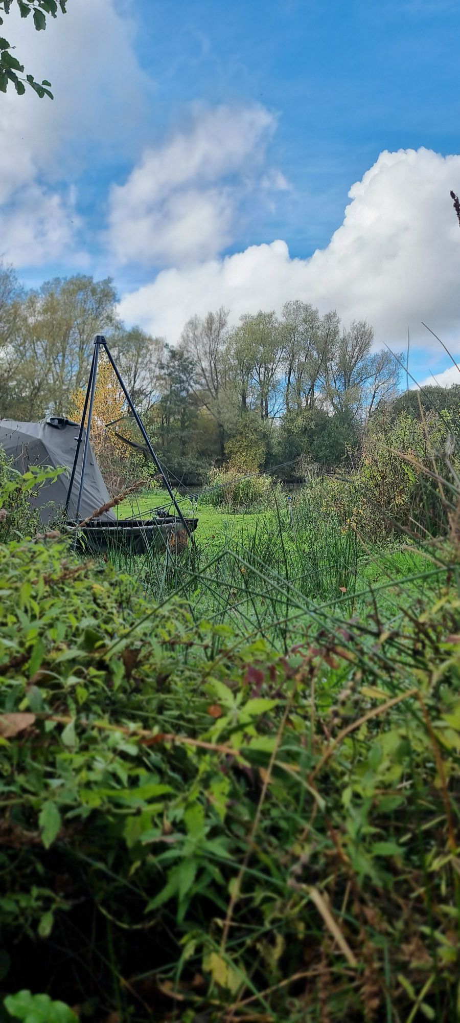 wp-17303806327131976672724756759680