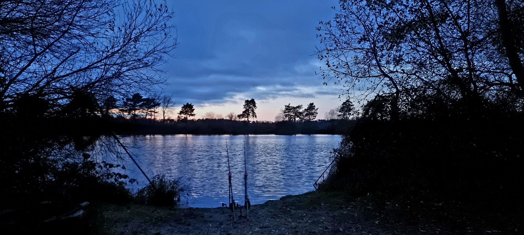 20241127_1637146298676503236741017