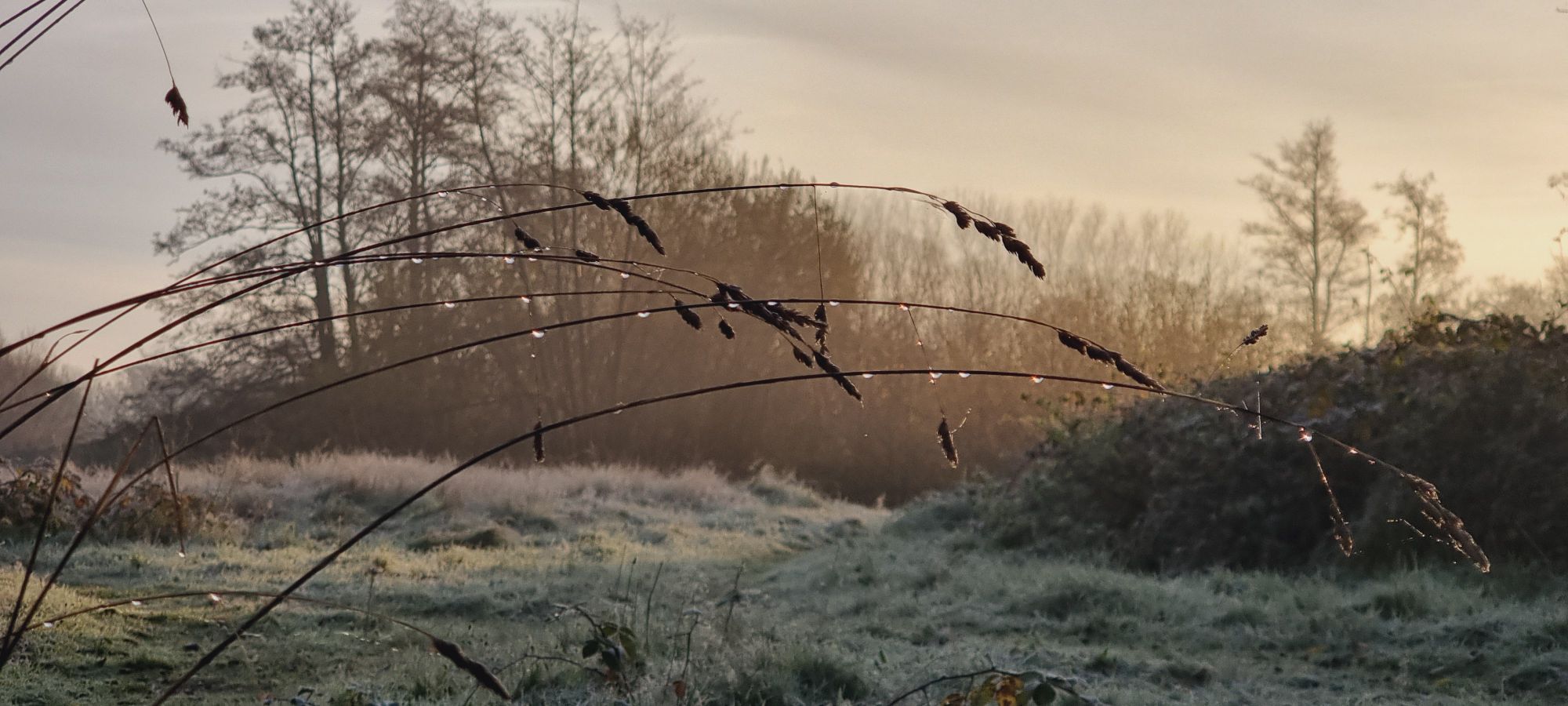 20241128_0832035574389746784148690