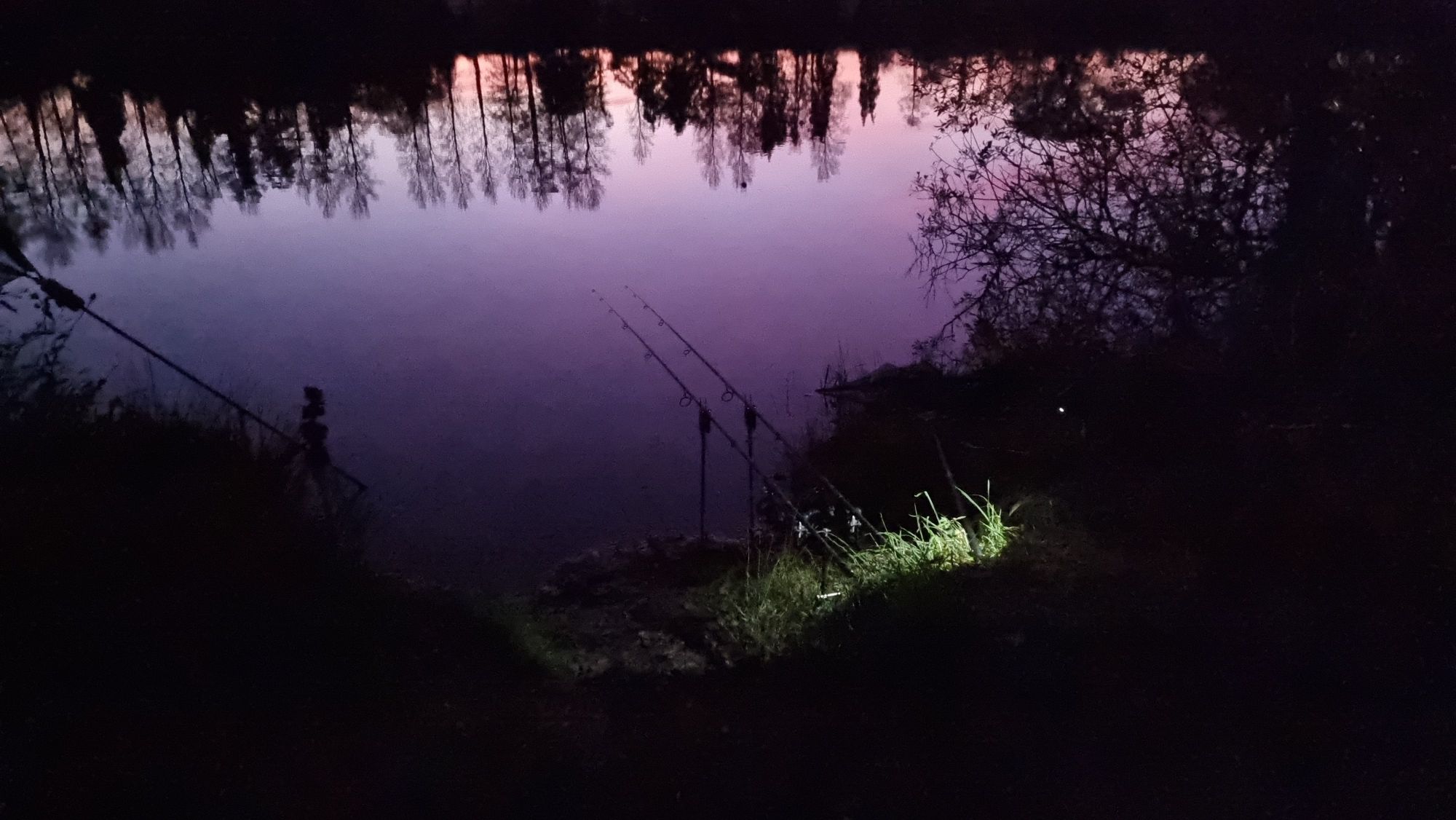 wp-17316604921454821949242085296875