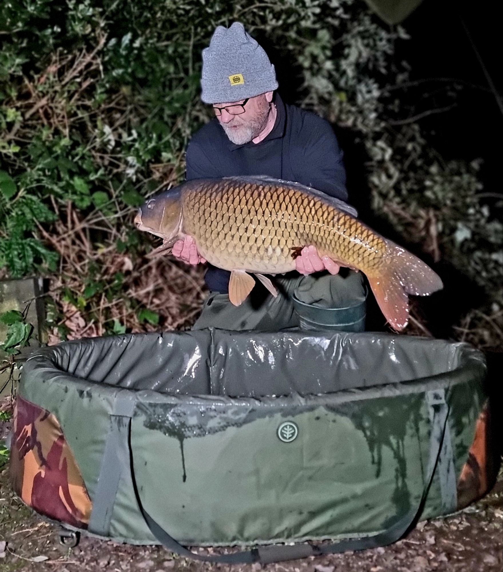 wp-17340118897881413922433817719259