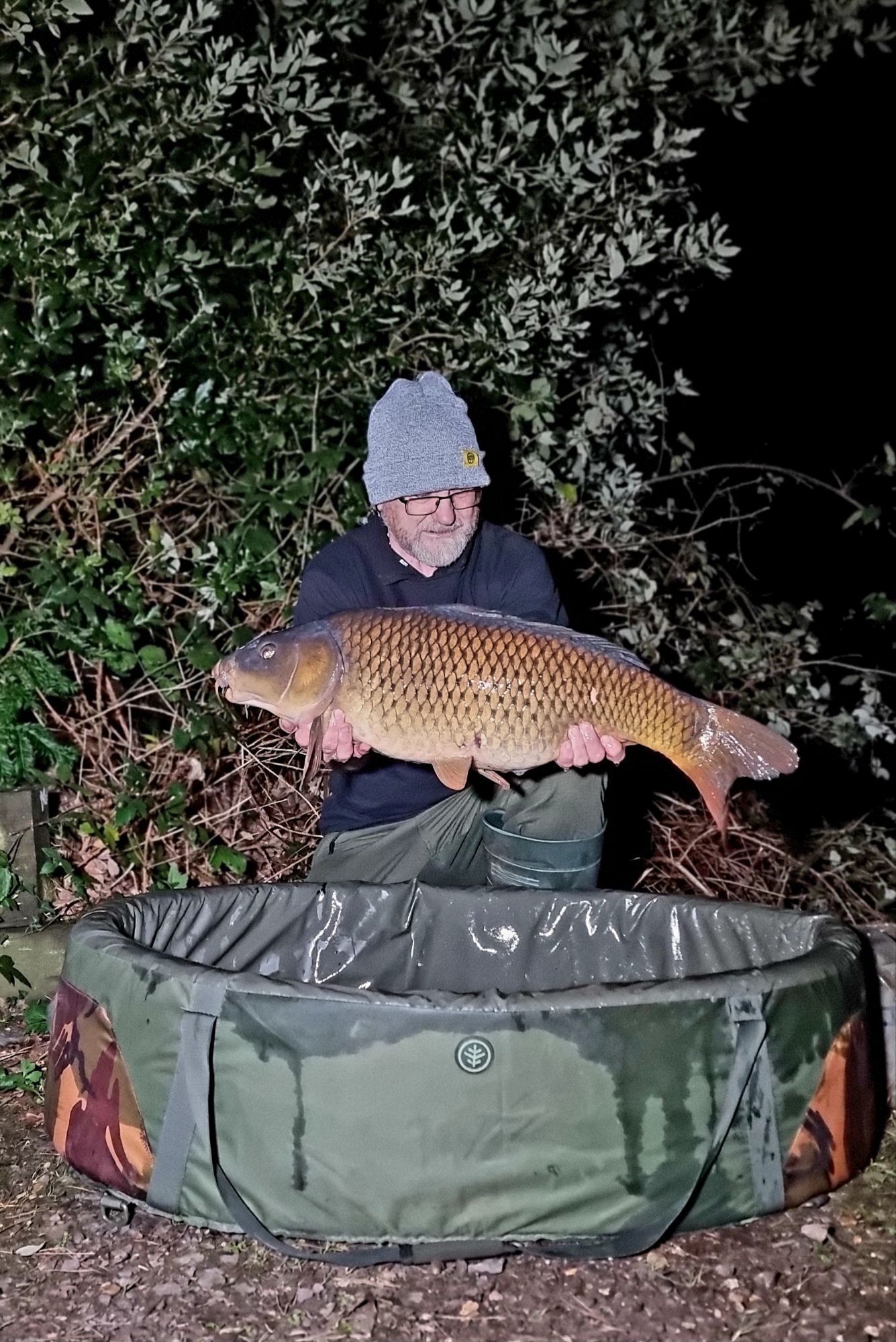 wp-17340122263044731971771952813326